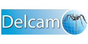 logo_delcam